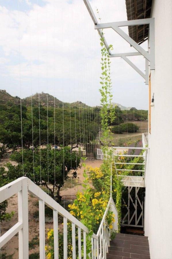 Villa Dao Hoa Vang Cam Ranh - Venuestay Eksteriør billede